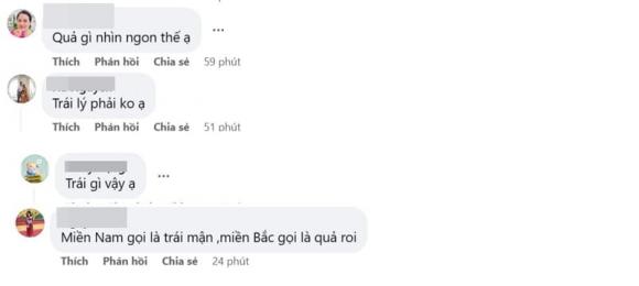 quả roi, quả mận điều đỏ, loại quả hiếm