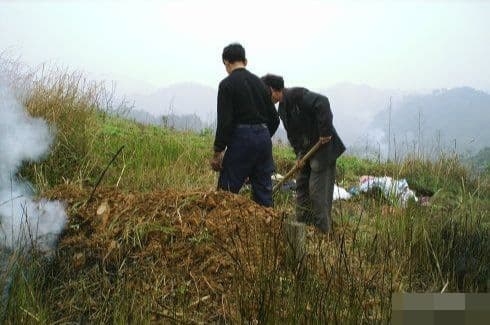 Tết Thanh minh, tảo mộ