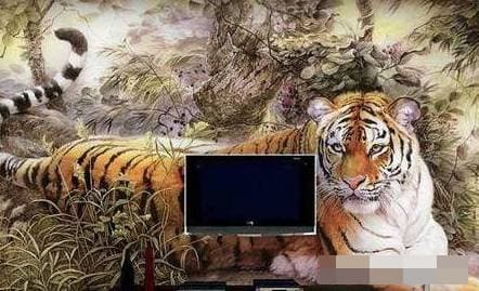 treo tranh, tranh phong thuỷ, điều cấm kị trong phong thuỷ nhà
