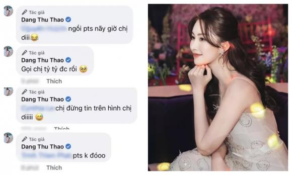 hoa hậu Đặng Thu Thảo, sao Việt