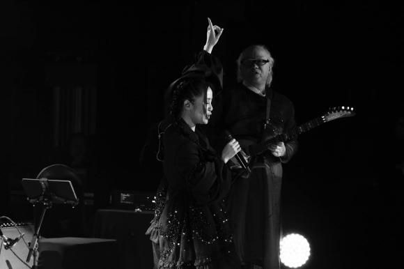 diva Hồng Nhung, sao Việt