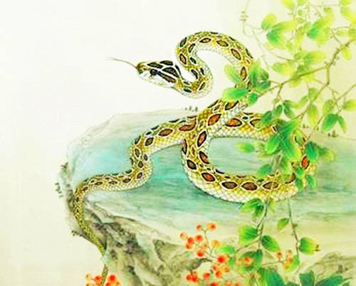 con giáp, tử vi