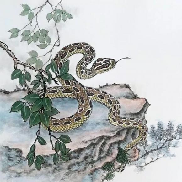 12 con giáp, tử vi 2023, tử vi hàng ngày, tử vi thứ 5 ngày 6/4/2023