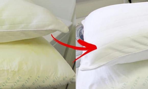 khoai tây đỏ, giá khoai tây đỏ, giá trị khoai tây 