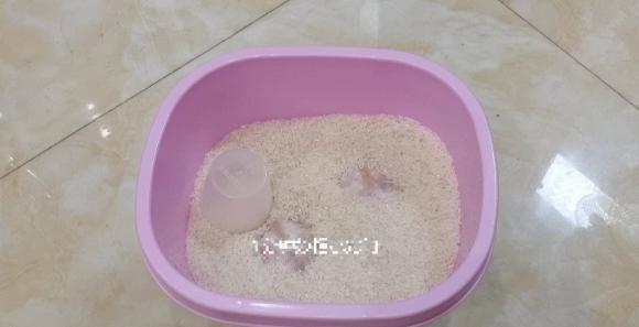 bảo quản tỏi, bảo quản tỏi đúng cách, lưu ý khi bảo quản tỏi