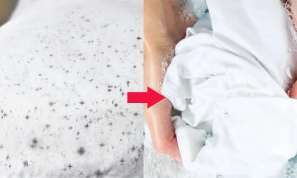 kiến, cách đuổi kiến, tiêu diệt kiến