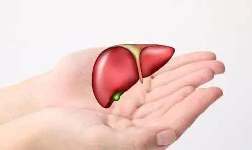 bệnh gan, dấu hiệu bệnh, dấu hiệu bệnh gan, ngứa ngáy