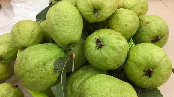 chọn ổi ngon, quả ổi, cách chọn quả ổi