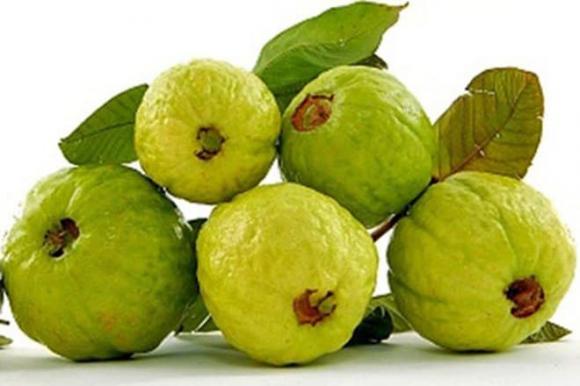 chọn ổi ngon, quả ổi, cách chọn quả ổi