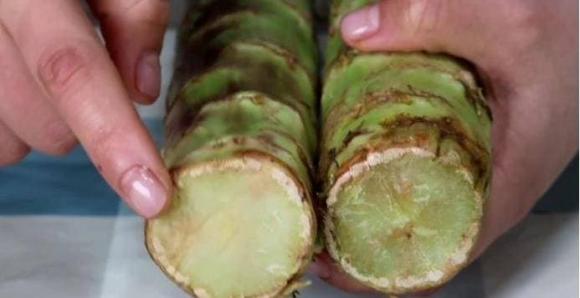 mua rau diếp tây, rau diếp tây, cách chọn rau diếp tây