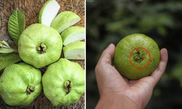 cách chọn ổi ngon, bí quyết chọn ổi ngon