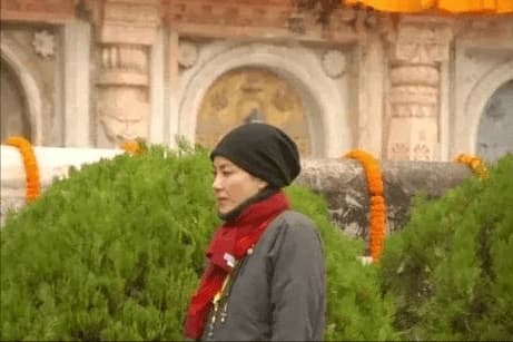 Vương Phi, Tạ Đình Phong, sao Hoa ngữ