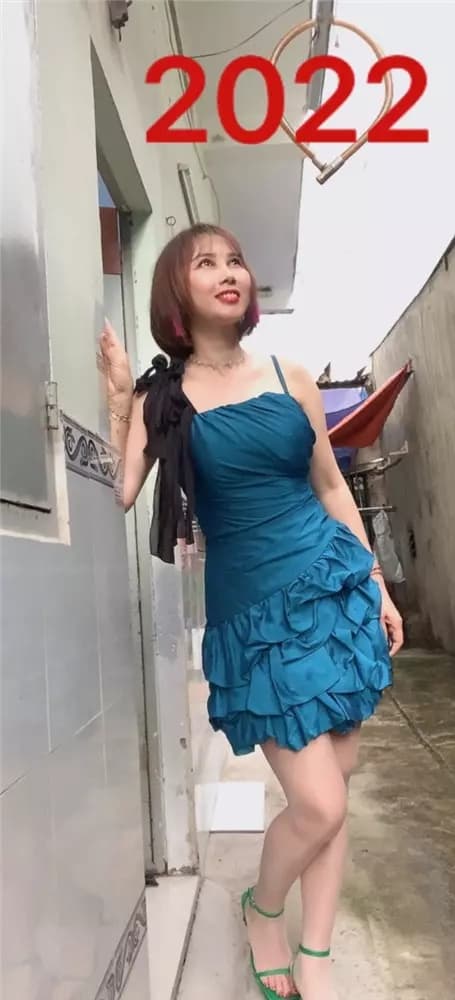 hoa hậu Thùy Tiên, sao Việt