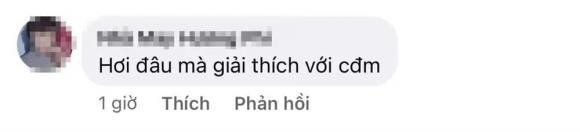 hoa hậu Thùy Tiên, sao Việt