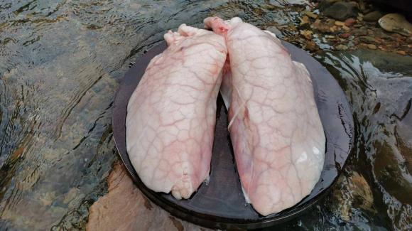bộ phận lợn không nên ăn, ruột già