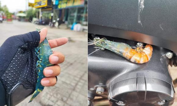vợ bầu, chồng ngoại tình khi vợ bầu, giới trẻ 