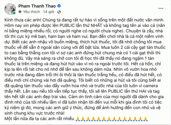 Phạm Thanh Thảo, con trai Phạm Thanh Thảo, sao Việt