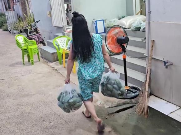 lê dương bảo lâm, sao việt 