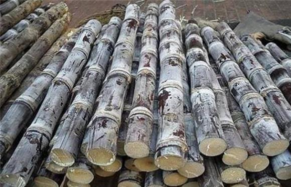 trái cây, mía, cửa hàng hoa quả