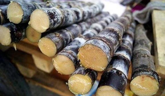 trái cây, mía, cửa hàng hoa quả