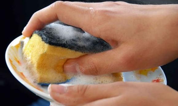 bọt biển 0 bọt biển rửa chén, miếng bọt biển rửa chén, kiến thức