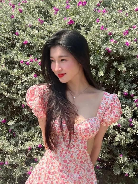 á hậu Phương Nhi, sao Việt