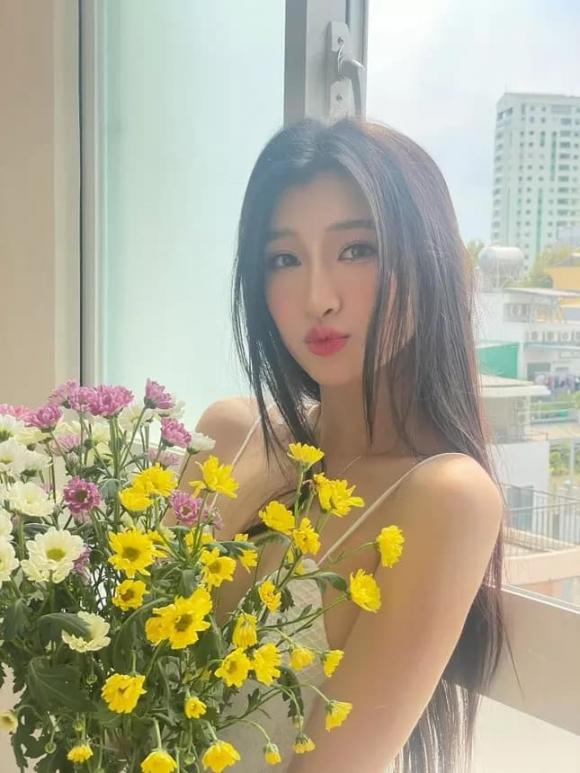 á hậu Phương Nhi, sao Việt