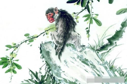 tử vi, con giáp