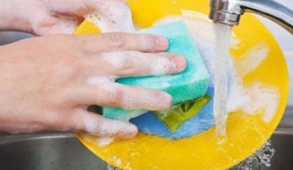 bọt biển 1 bọt biển rửa chén, miếng bọt biển rửa chén, kiến thức