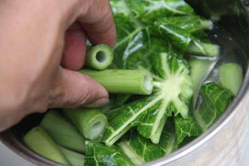 nhổ lông vịt, lá đu đủ, thịt vịt