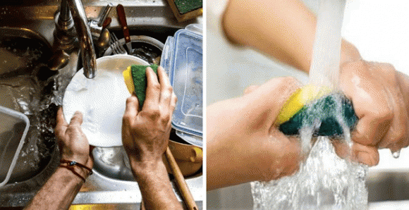 bọt biển 2 bọt biển rửa chén, miếng bọt biển rửa chén, kiến thức