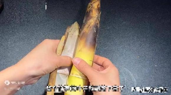 món ngon mỗi ngày, cách chế biến măng, cách sơ chế măng