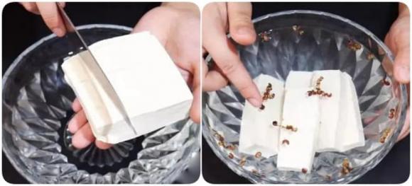 đậu phụ, bảo quản đậu phụ, đậu phụ trắng