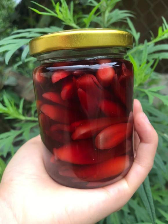 Gừng Myoga, nhân sâm Châu Á, nụ gừng Myoga