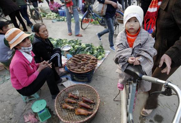 động vật hoang dã, ăn sống, ăn thịt sống, 