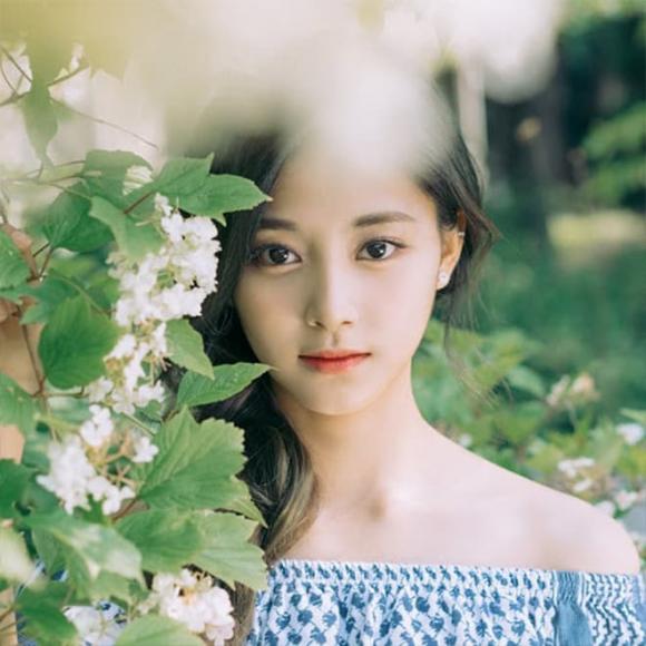 nam/nữ thần tượng K-Pop hấp dẫn nhất, Tzuyu (TWICE),