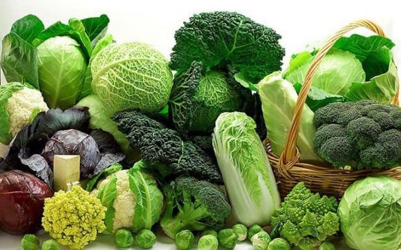 rau ngậm hóa chất, rau phun thuộc, rau sạch