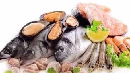 bảo quản tôm, bảo quản hải sản, lưu ý khi bảo quản tôm