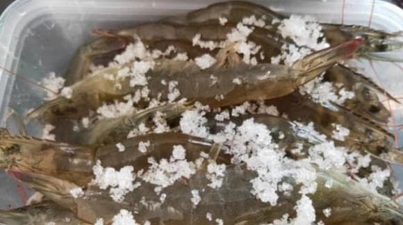 bảo quản tôm, bảo quản hải sản, lưu ý khi bảo quản tôm