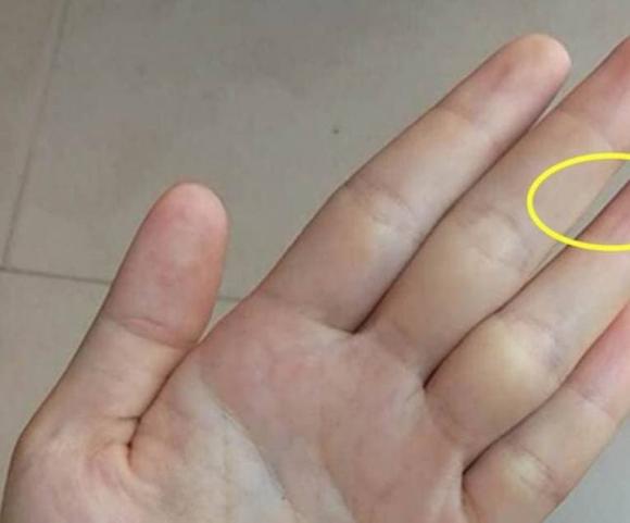 khe tay, xem tay, tướng số