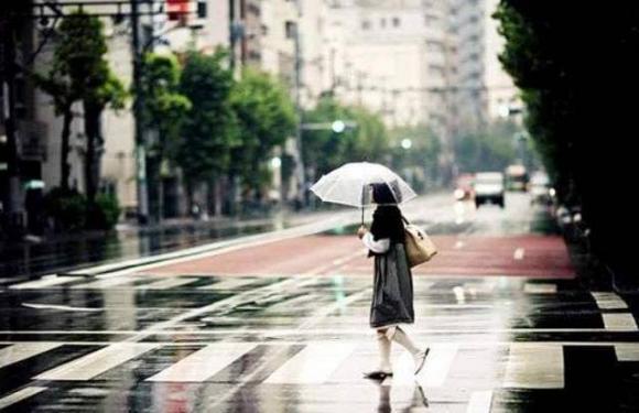 Vì sao người Nhật thích dùng ô cán dài thay vì ô gấp? Bạn sẽ biết sau khi đọc nó