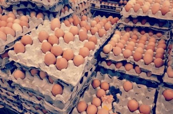 trứng, lợi ích của trứng, trứng gà