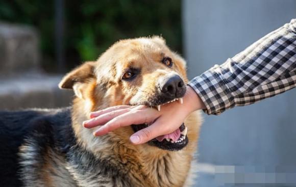 bệnh đáng sợ, những căn bệnh nguy hiểm trước kia