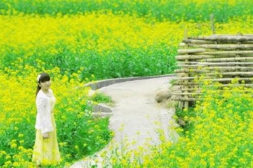 Trắc nghiệm tâm lý