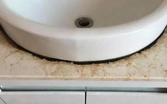 nấm mốc, mốc tường, vệ sinh tường, làm sạch mốc tường