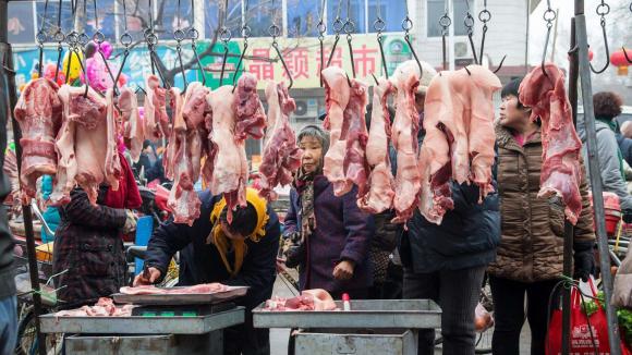 cơ thể người ra sao sau khi chết, phân hủy sau khi chết, sự sống và cái chết