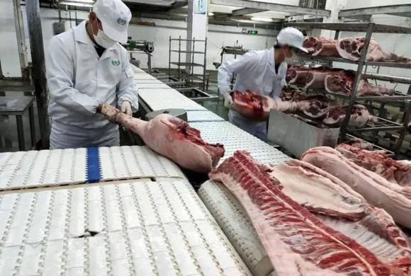 cơ thể người ra sao sau khi chết, phân hủy sau khi chết, sự sống và cái chết