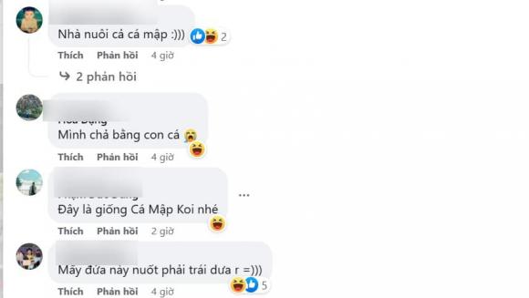 cá Koi, cá Koi ú nu, cá Koi lạ