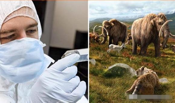 Với sự phát triển của khoa học, con người đang cố gắng hồi sinh 9 loài động vật đã tuyệt chủng từ lâu