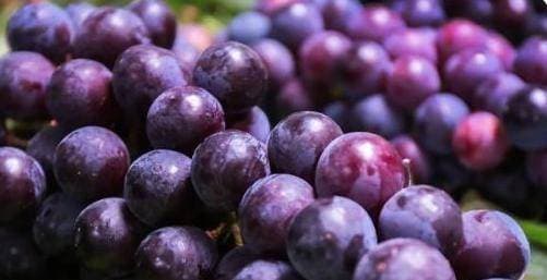 nho, lợi ích của ăn nho, ai không nên ăn nho